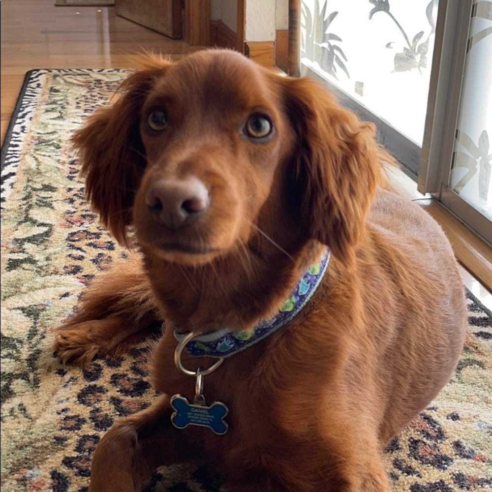 Meet your Posher, Margo